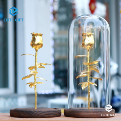 HOA HỒNG CHỤP THỦY TINH